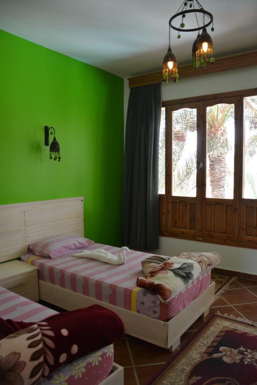 Dahab Divers 部屋 写真